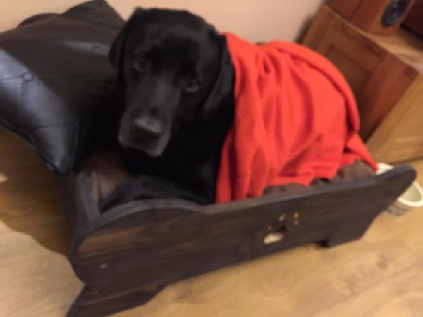 cama para perros artesanal de madera